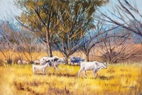 Tahir Bilal Ummi, 20 x 30 Inch, Oil on Canvas, Landscape Painting, AC-TBL-058